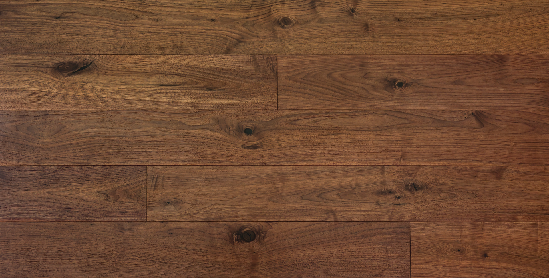 Noce americano PL207